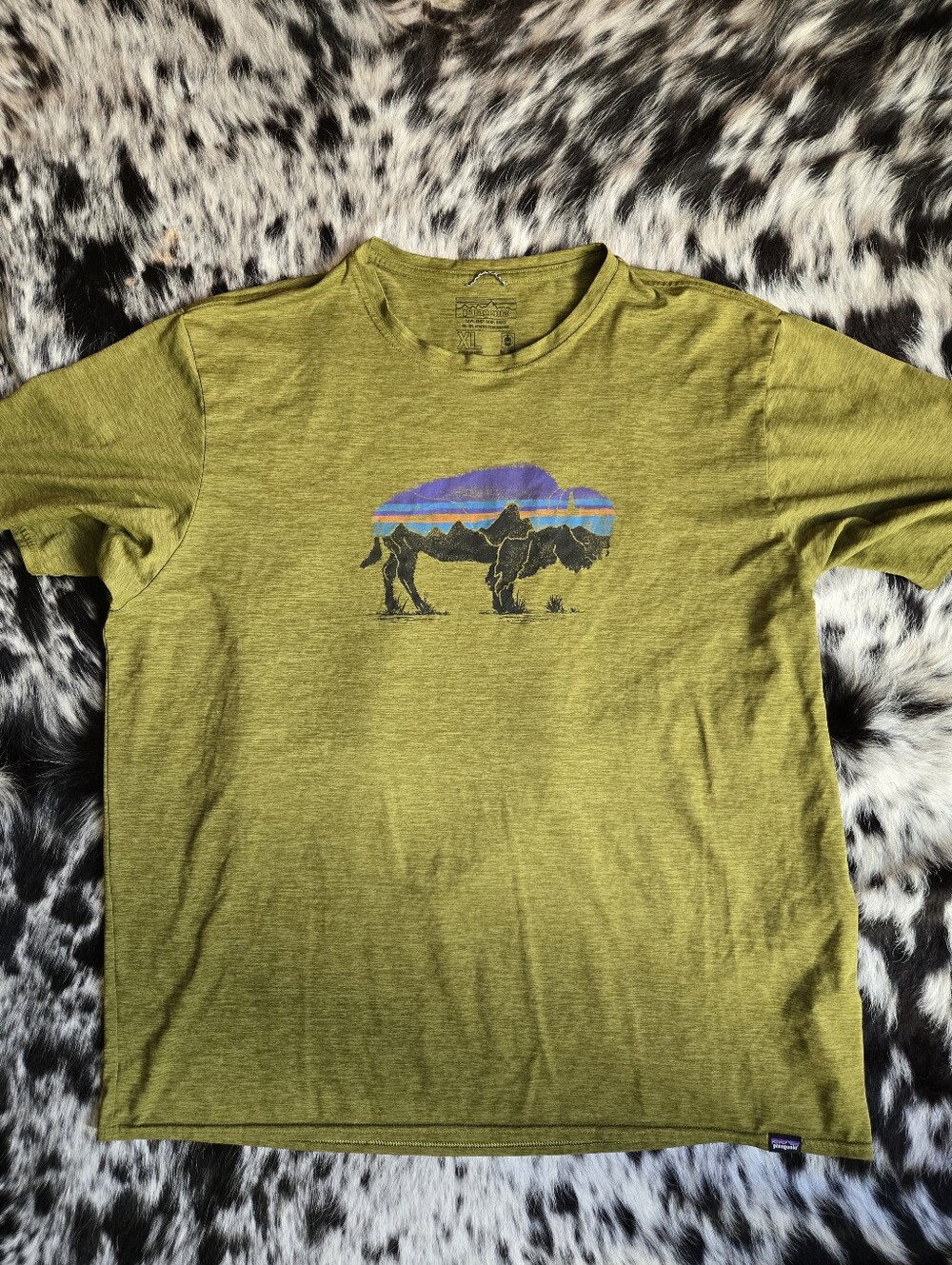 Patagonia Capiline Men's T-Shirt Bison